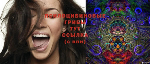 эйфоретик Медногорск