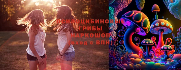 эйфоретик Медногорск