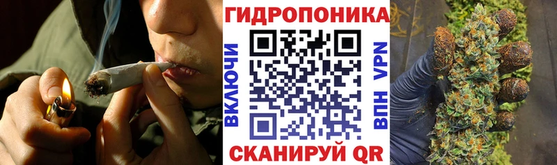 Бошки Шишки ГИДРОПОН  Купить закладки  Малоярославец 